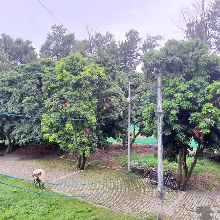 Nature View Homestay Dehradun Bagian luar foto