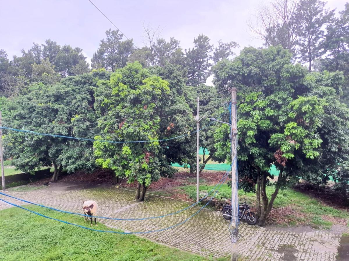 Nature View Homestay Dehradun Bagian luar foto